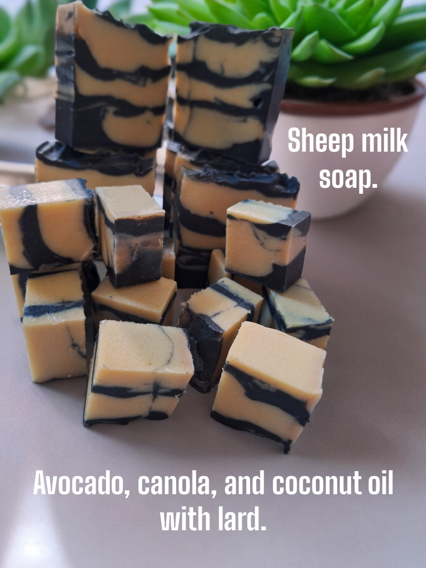 Tuscan Juniper and Myrtle Milk Soap